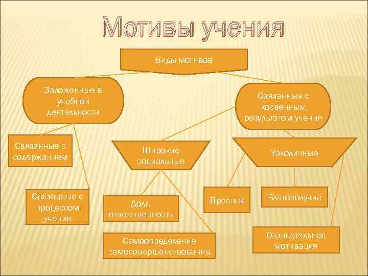    Мотивы учения       Виды мотивов 