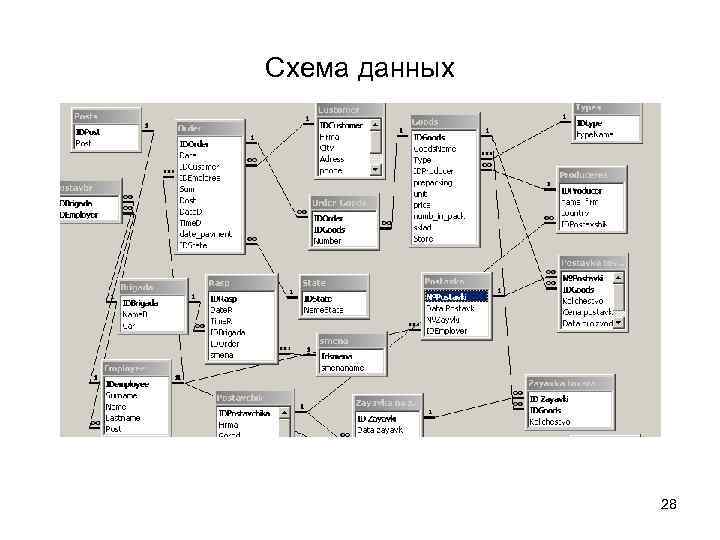 Схема данных    28 