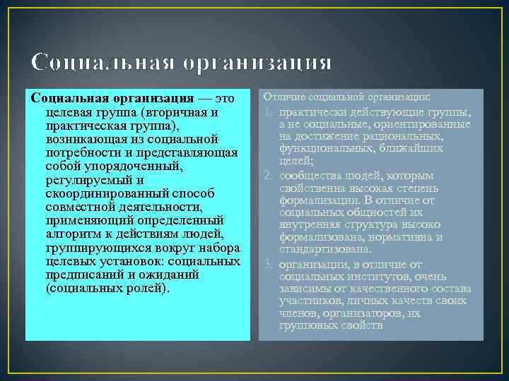 Социальная организация — это  Отличие социальной организации:  целевая группа (вторичная и 1.