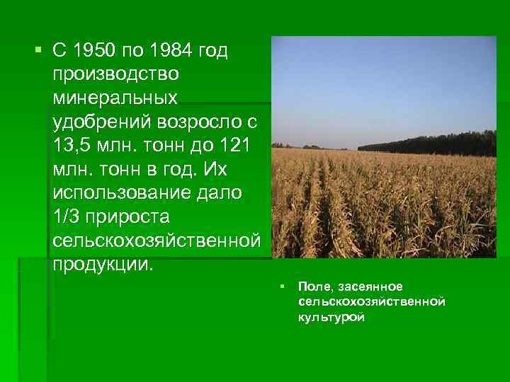 § С 1950 по 1984 год  производство  минеральных  удобрений возросло с