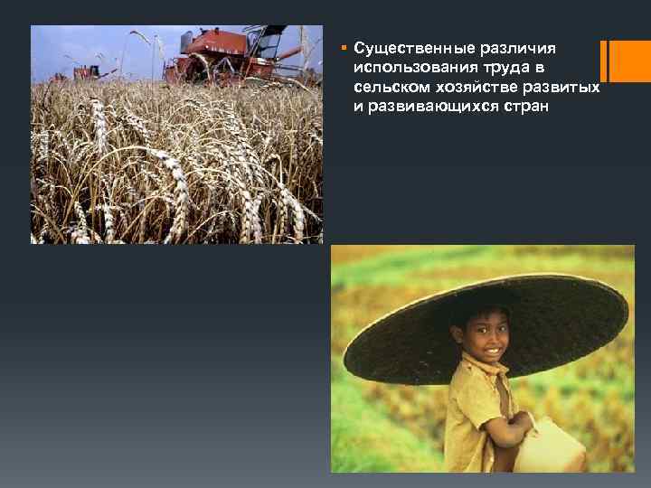 § Существенные различия  использования труда в  сельском хозяйстве развитых  и развивающихся