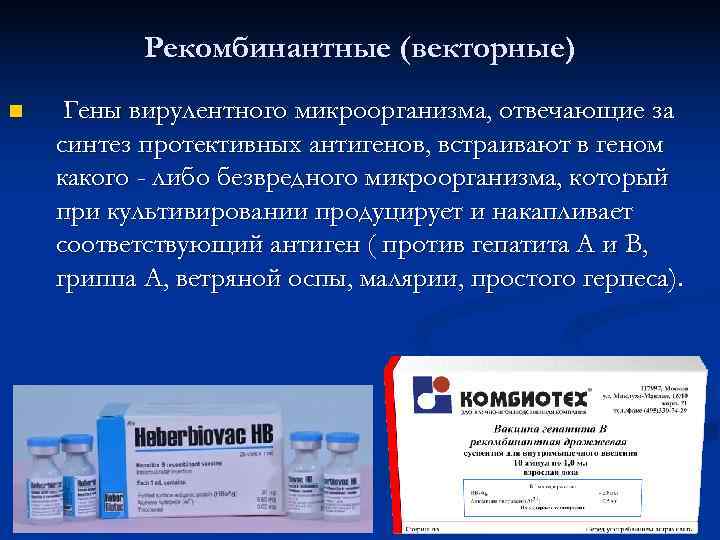   Рекомбинантные (векторные) n  Гены вирулентного микроорганизма, отвечающие за синтез протективных антигенов,