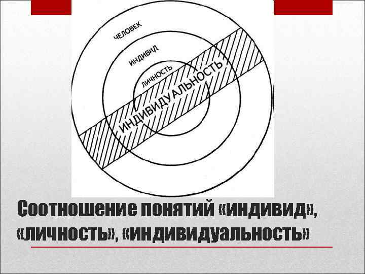 Соотношение понятий «индивид» , «личность» , «индивидуальность» 