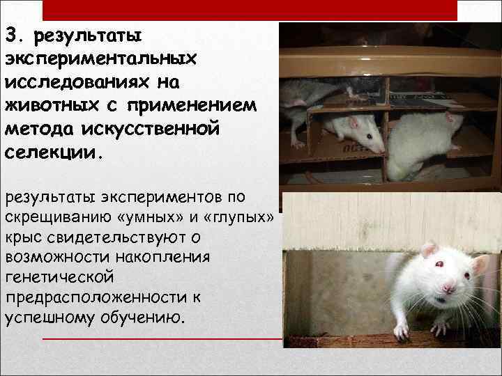 3. результаты экспериментальных исследованиях на животных с применением метода искусственной селекции. результаты экспериментов по