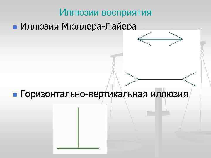 Иллюзии восприятия n Иллюзия Мюллера-Лайера n Горизонтально-вертикальная иллюзия Иллюзии восприятия n Иллюзия Мюллера-Лайера n Горизонтально-вертикальная иллюзия