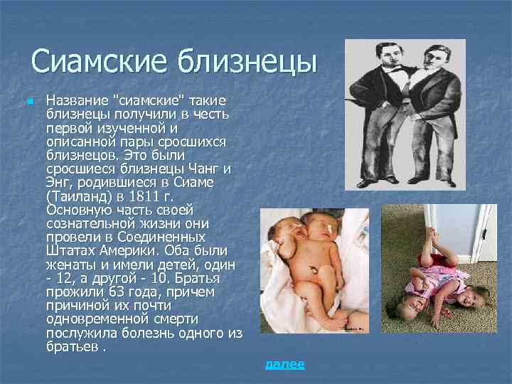 Сиамские близнецы n  Название 