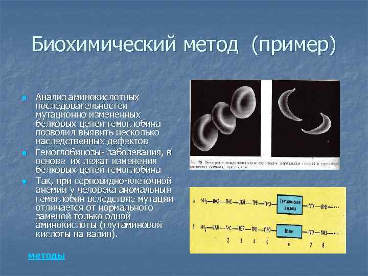   Биохимический метод (пример) n  Анализ аминокислотных последовательностей мутационно измененных белковых цепей