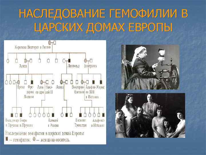 НАСЛЕДОВАНИЕ ГЕМОФИЛИИ В  ЦАРСКИХ ДОМАХ ЕВРОПЫ 