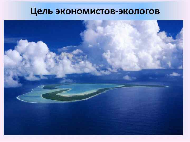 Цель экономистов-экологов 