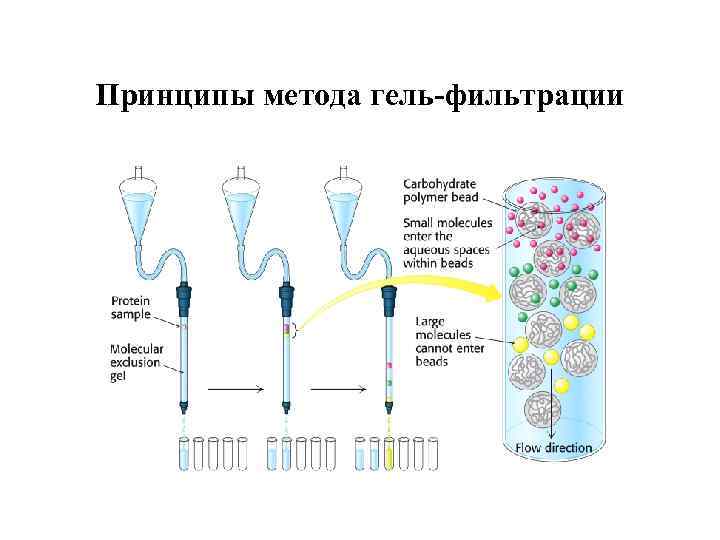 Методы фильтрации. Гель-фильтрация хроматография белков. Гель фильтрация белков принцип метода. Схема разделения методом гель-хроматографии. Гельфитрация биохимия.