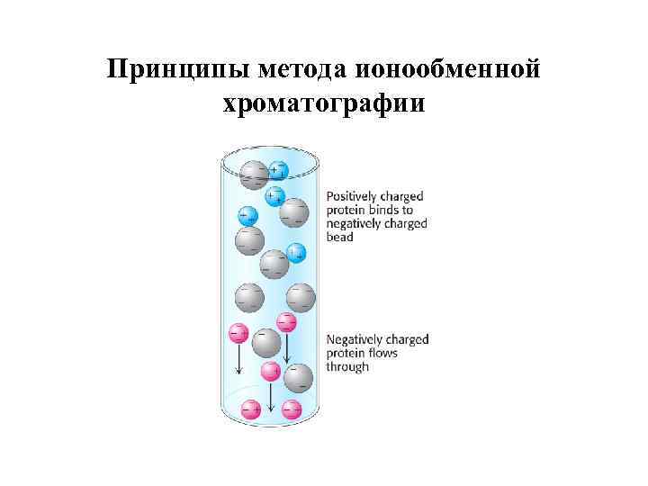 Ионообменная хроматография презентация