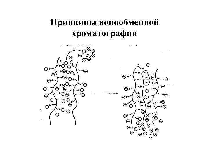 Ионообменная хроматография схема