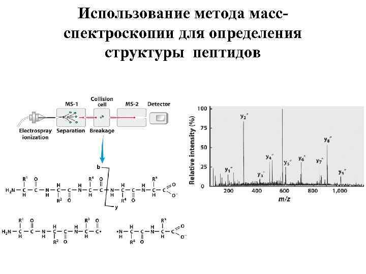 Метод спектрометрии