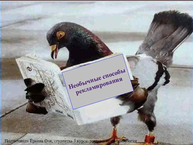      о собы       е