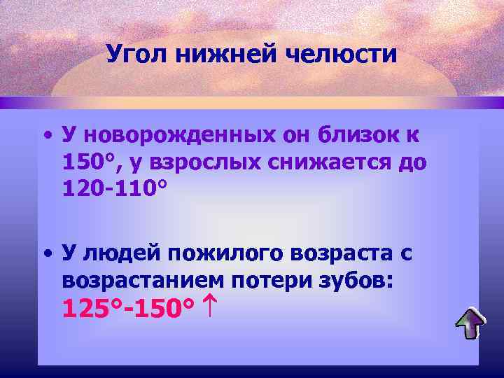 Угол нижней челюсти • У новорожденных он близок к 150°, y взрослых снижается до