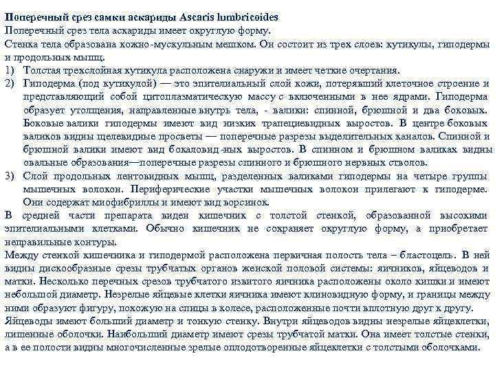 Поперечный срез самки аскариды Ascaris lumbricoides Поперечный срез тела аскариды имеет округлую форму. Поперечный срез самки аскариды Ascaris lumbricoides Поперечный срез тела аскариды имеет округлую форму.