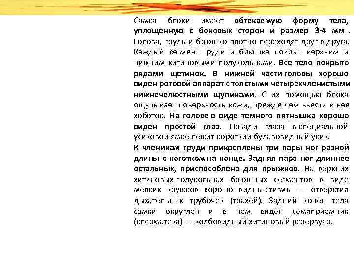 Самка блохи имеет обтекаемую форму тела, уплощенную с боковых сторон и размер 3 Самка блохи имеет обтекаемую форму тела, уплощенную с боковых сторон и размер 3