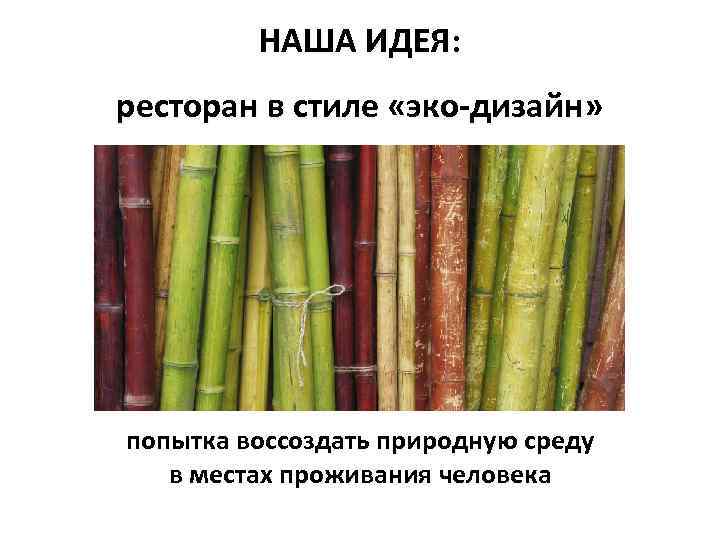    НАША ИДЕЯ: ресторан в стиле «эко-дизайн» попытка воссоздать природную среду 