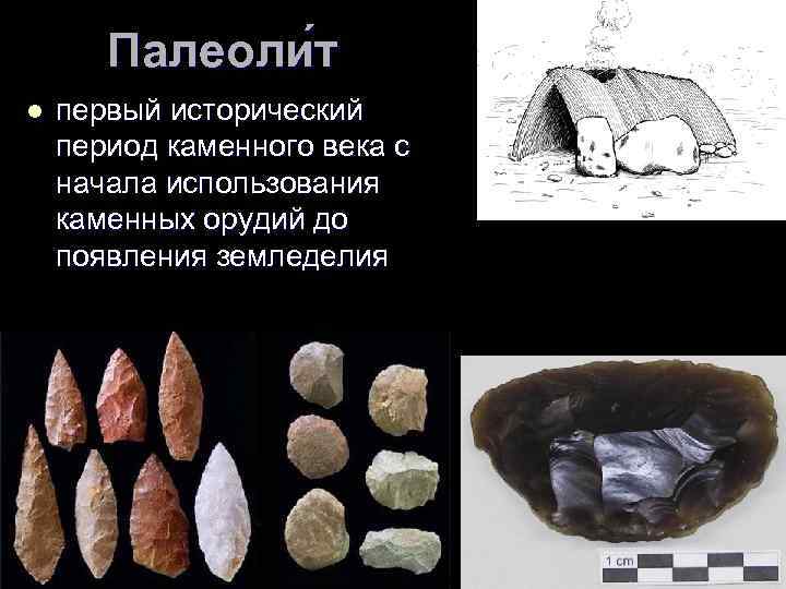 Палеоли т l первый исторический период каменного века с начала использования каменных орудий до