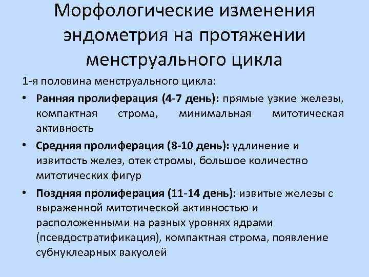 Морфологические изменения эндометрия на протяжении менструального цикла 1 -я половина менструального цикла: • Ранняя