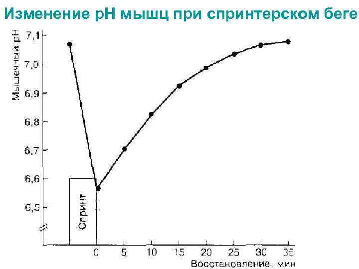Изменение р. Н мышц при спринтерском беге. 