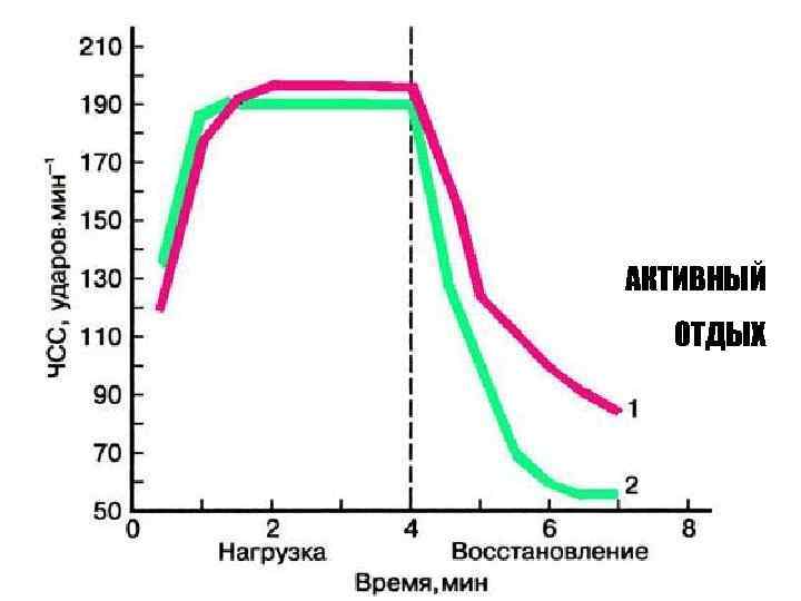 АКТИВНЫЙ  ОТДЫХ 