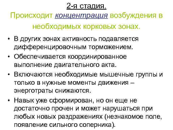    2 -я стадия.  Происходит концентрация возбуждения в  необходимых корковых