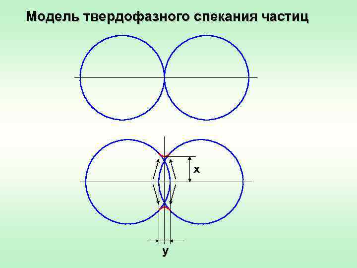 Модель твердофазного спекания частиц     x     y