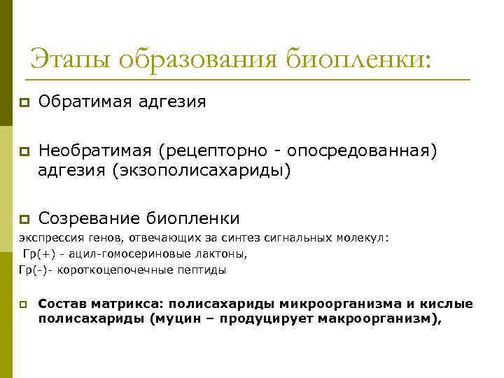 Этапы образования биопленки: p Обратимая адгезия p Необратимая (рецепторно - опосредованная) адгезия (экзополисахариды) p