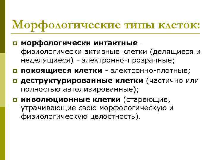 Морфологические типы клеток: p p морфологически интактные физиологически активные клетки (делящиеся и неделящиеся) -