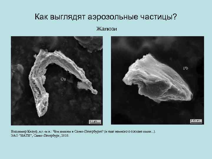 Как выглядят аэрозольные частицы? Жалюзи Владимир Кнауф, к. г. -м. н. : Чем дышим