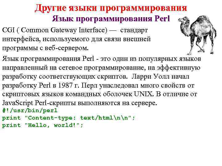    Другие языки программирования    Язык программирования Perl CGI (