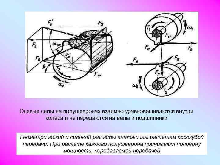 Силы оси