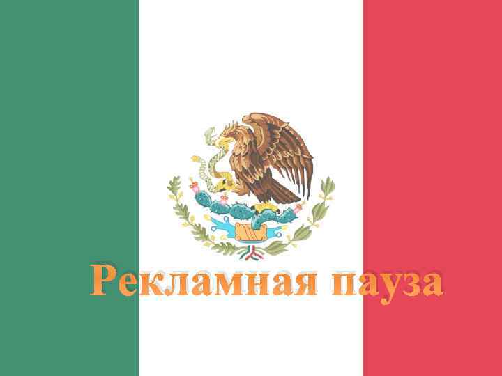 Рекламная пауза 