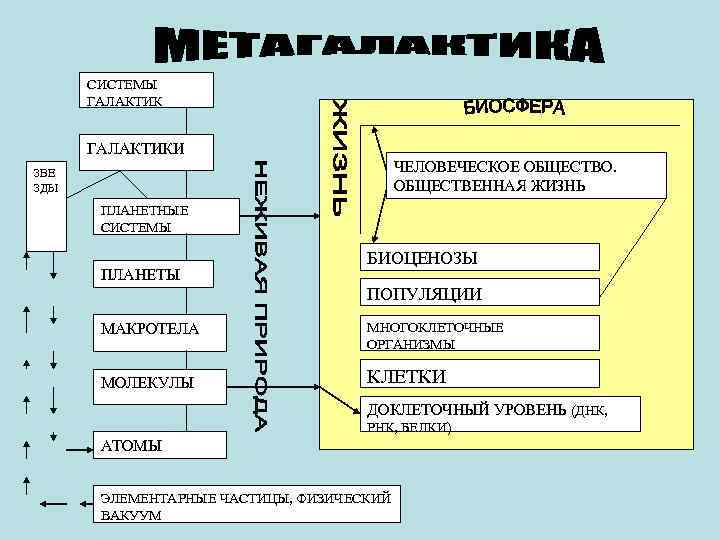  СИСТЕМЫ  ГАЛАКТИКИ ЗВЕ    ЧЕЛОВЕЧЕСКОЕ ОБЩЕСТВО. ЗДЫ   