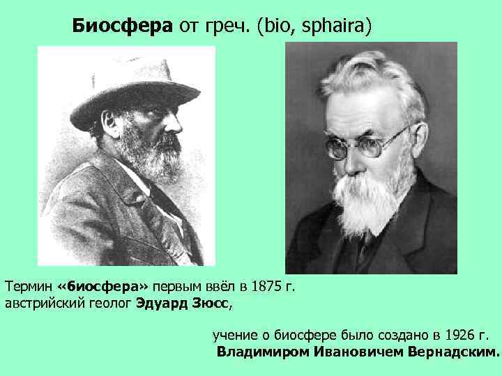 Биосфера– глобальная экосистема, особая оболочка Земли, сфера распространения жизни, границы которой определяются наличием пригодных