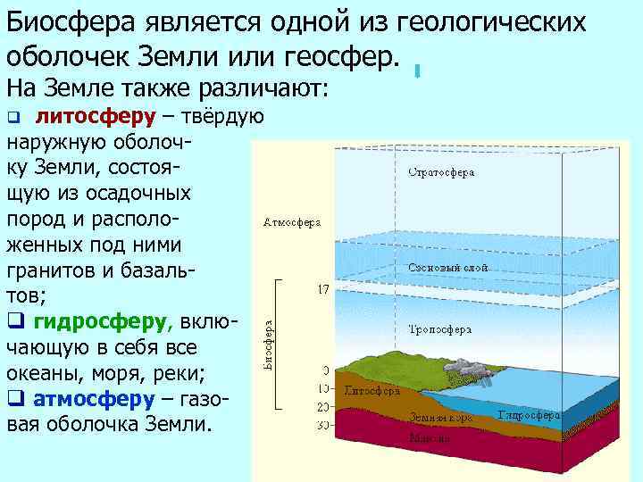 Таблица оболочки биосферы. Биосфера Биосферные функции атмосферы гидросферы почвы. Биосфера презентация БЖД. Биосфера отличие от других оболочек. Современные тенденции изменения биосферыбиосферы.
