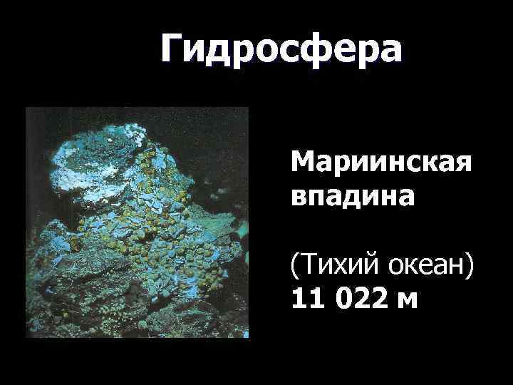 Экстремофильные бактерии     Литосфера    10 -12 км 