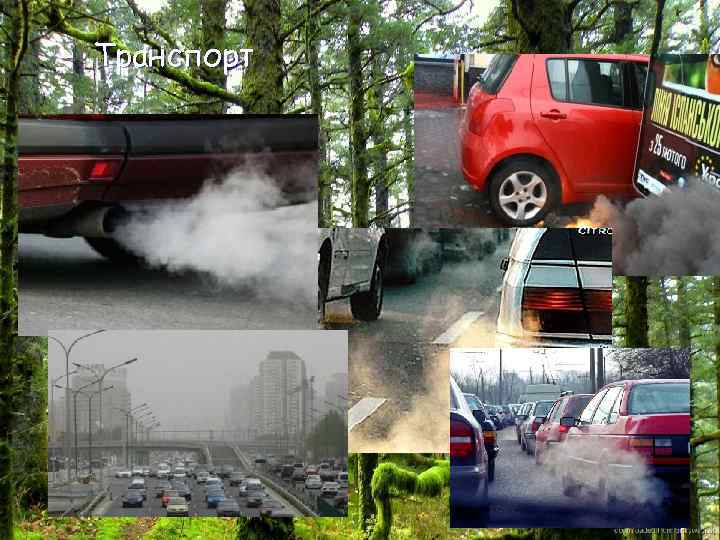 Транспорт 