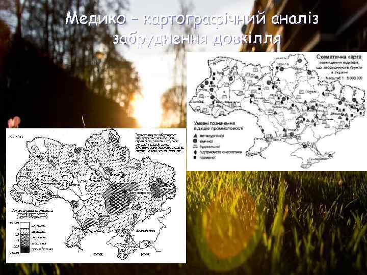 Медико – картографічний аналіз забруднення довкілля 