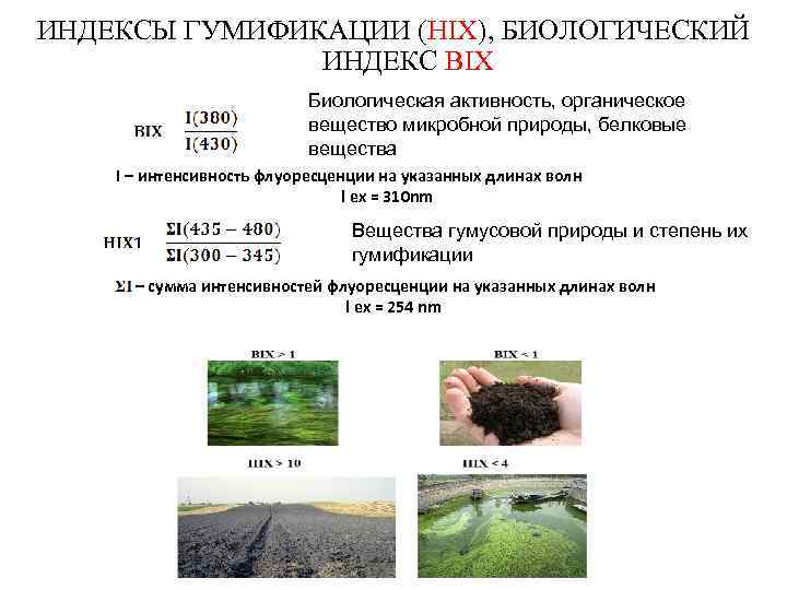 ИНДЕКСЫ ГУМИФИКАЦИИ (HIX), БИОЛОГИЧЕСКИЙ    ИНДЕКС BIX     