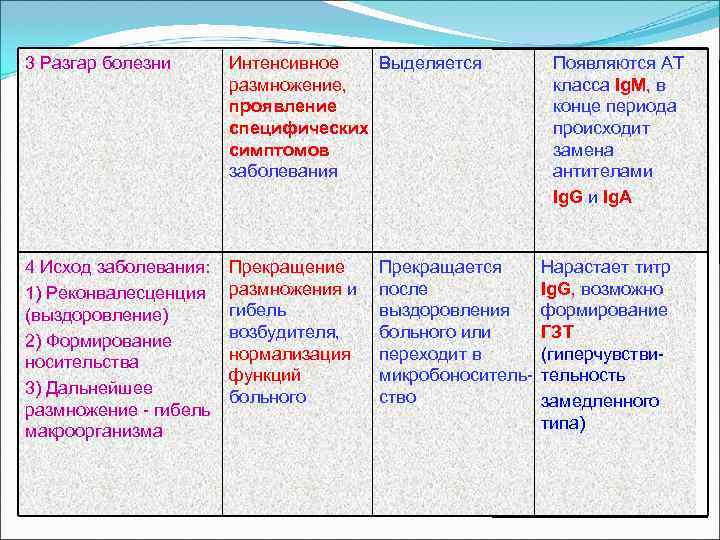 3 Разгар болезни  Интенсивное  Выделяется  Появляются АТ    размножение,