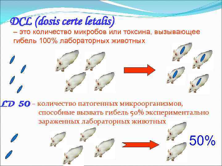  DCL (dosis certe letalis)  – это количество микробов или токсина, вызывающее 
