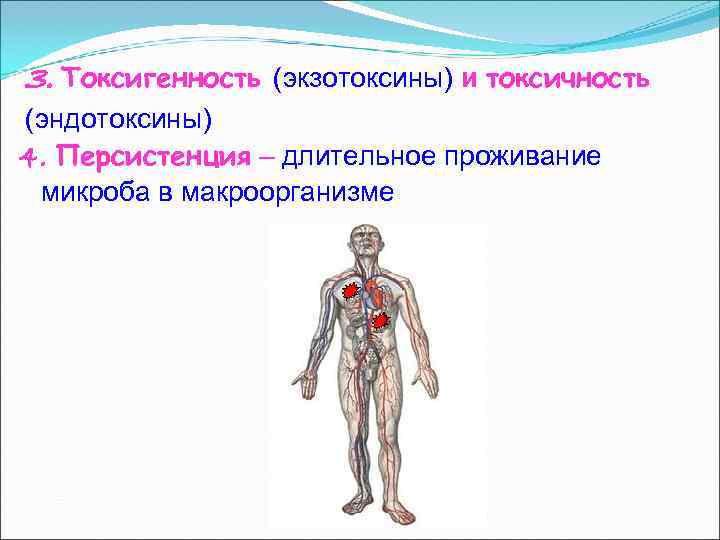 3. Токсигенность  (экзотоксины) и токсичность (эндотоксины) 4. Персистенция – длительное проживание микроба в