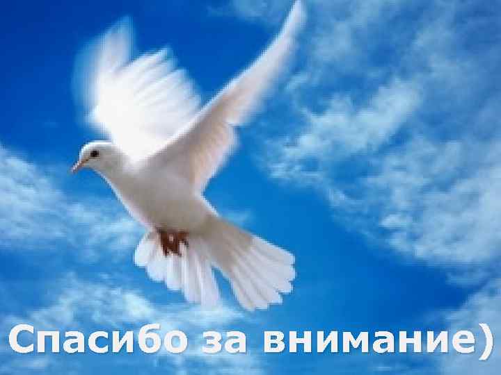 Спасибо за внимание) 