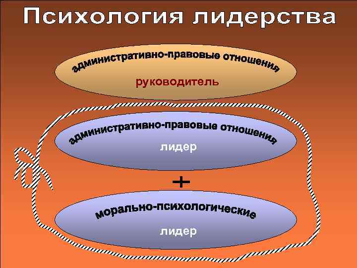 руководитель  лидер 