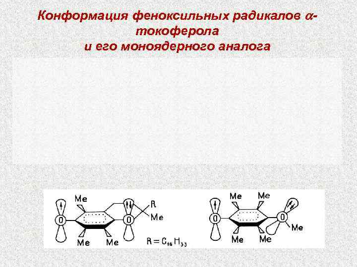Конформация феноксильных радикалов -   токоферола и его моноядерного аналога 