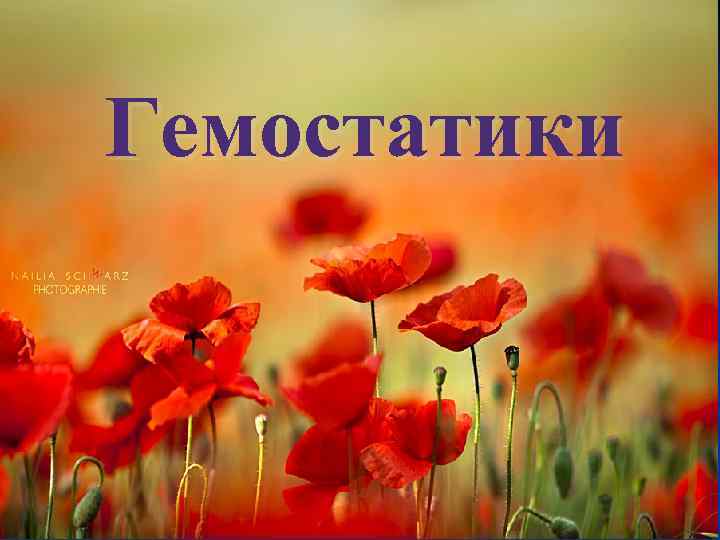 Гемостатики Гемостатики