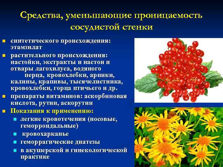 Действие аскорбиновой кислоты на резистентность и проницаемость сосудистой стенки