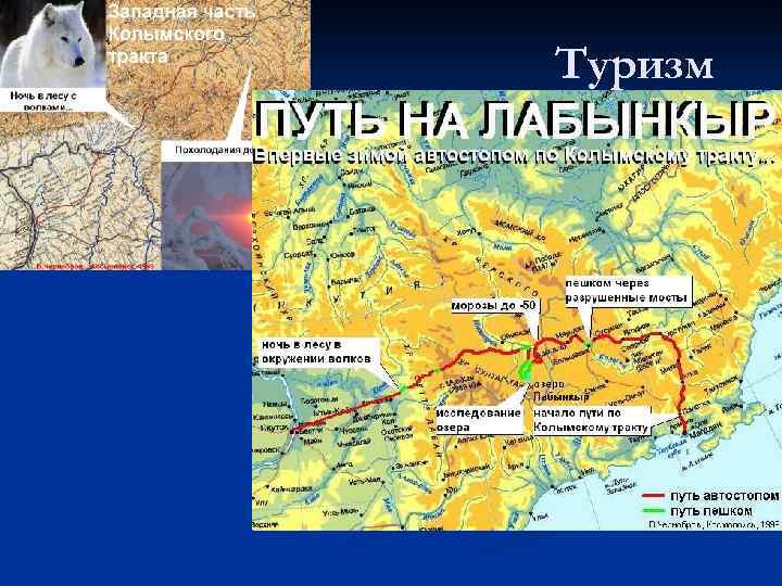 Туризм 